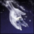Avatar do usuário